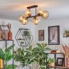 Ripoll Plafondlamp, Kogellampje Amber, Duidelijk, 6-lichts