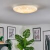 Peran Plafondlamp LED Wit, 1-licht