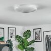Peran Plafondlamp LED Wit, 1-licht