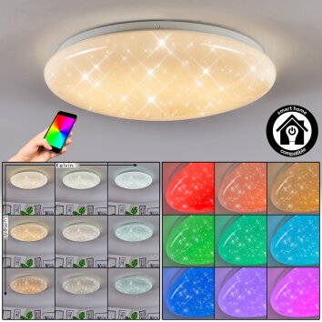 Peran Plafondlamp LED Wit, 1-licht