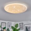 Peran Plafondlamp LED Wit, 1-licht