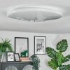 Peran Plafondlamp LED Wit, 1-licht