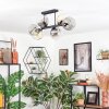 Ripoll Plafondlamp, Kogellampje Amber, Duidelijk, Rookkleurig, 6-lichts
