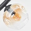 Ripoll Plafondlamp, Kogellampje Amber, Duidelijk, Rookkleurig, 6-lichts