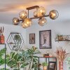 Koyoto Plafondlamp, Kogellampje Amber, Duidelijk, Rookkleurig, 8-lichts