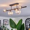 Chehalis Plafondlamp, Kogellampje Duidelijk, 5-lichts