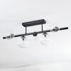 Chehalis Plafondlamp, Kogellampje Duidelijk, 5-lichts
