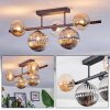 Chehalis Plafondlamp, Kogellampje Amber, Duidelijk, Rookkleurig, 5-lichts