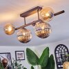 Chehalis Plafondlamp, Kogellampje Amber, Duidelijk, Rookkleurig, 5-lichts