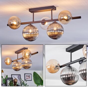 Chehalis Plafondlamp, Kogellampje Amber, Duidelijk, Rookkleurig, 5-lichts