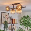 Koyoto Plafondlamp, Kogellampje Amber, Duidelijk, Rookkleurig, 5-lichts
