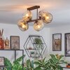 Ripoll Plafondlamp, Kogellampje Amber, Duidelijk, Rookkleurig, 6-lichts Ripoll Plafondlamp, Kogellampje Amber, Duidelijk, Rookkleurig, 6-lichts