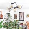 Ripoll Plafondlamp, Kogellampje Amber, Duidelijk, Rookkleurig, 6-lichts Ripoll Plafondlamp, Kogellampje Amber, Duidelijk, Rookkleurig, 6-lichts
