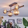 Chehalis Plafondlamp, Kogellampje Rookkleurig, 5-lichts