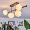 Chehalis Plafondlamp, Kogellampje Wit, 5-lichts