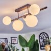 Chehalis Plafondlamp, Kogellampje Wit, 5-lichts