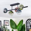 Chehalis Plafondlamp, Kogellampje Blauw, Groen, Duidelijk, Koperkleurig, 5-lichts