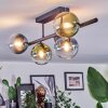 Chehalis Plafondlamp, Kogellampje Blauw, Groen, Duidelijk, Koperkleurig, 5-lichts