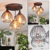 Rafel Plafondlamp Zwart, 3-lichts