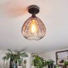 Rafel Plafondlamp Zwart, 1-licht