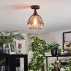 Rafel Plafondlamp Zwart, 1-licht