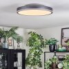 Salmi Plafondlamp, Paneel LED Grijs, Zilver, 1-licht