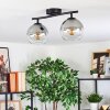 Koyoto Plafondlamp, Kogellampje Duidelijk, Rookkleurig, 2-lichts