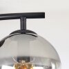 Koyoto Plafondlamp, Kogellampje Duidelijk, Rookkleurig, 2-lichts