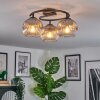 Ripoll Plafondlamp, Kogellampje Duidelijk, Rookkleurig, 3-lichts Ripoll Plafondlamp, Kogellampje Duidelijk, Rookkleurig, 3-lichts