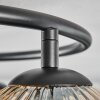 Ripoll Plafondlamp, Kogellampje Amber, Duidelijk, 3-lichts