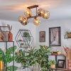 Ripoll Plafondlamp, Kogellampje Amber, Rookkleurig, 6-lichts