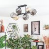 Ripoll Plafondlamp, Kogellampje Amber, Rookkleurig, 6-lichts