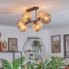 Ripoll Plafondlamp, Kogellampje Amber, 6-lichts