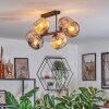 Ripoll Plafondlamp, Kogellampje Amber, Rookkleurig, 6-lichts