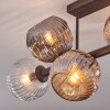 Ripoll Plafondlamp, Kogellampje Amber, Duidelijk, Rookkleurig, 6-lichts