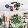 Ripoll Plafondlamp, Kogellampje Blauw, Goud, Groen, Koperkleurig, 5-lichts