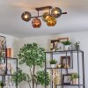 Ripoll Plafondlamp, Kogellampje Blauw, Goud, Groen, Koperkleurig, 5-lichts