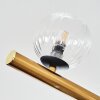 Chehalis Plafondlamp, Kogellampje Goud, Zwart, 10-lichts