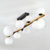 Chehalis Plafondlamp, Kogellampje Goud, Zwart, 10-lichts