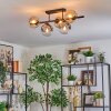 Gastor Plafondlamp, Kogellampje Amber, Duidelijk, Rookkleurig, 5-lichts