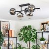 Gastor Plafondlamp, Kogellampje Chroom, Duidelijk, Rookkleurig, 5-lichts