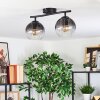 Koyoto Plafondlamp, Kogellampje Duidelijk, Rookkleurig, 2-lichts