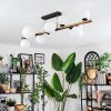 Chehalis Plafondlamp, Kogellampje Goud, Zwart, 10-lichts