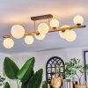 Chehalis Plafondlamp, Kogellampje Goud, Zwart, 10-lichts