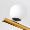 Chehalis Plafondlamp, Kogellampje Goud, Zwart, 10-lichts