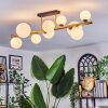 Chehalis Plafondlamp, Kogellampje Goud, Zwart, 10-lichts