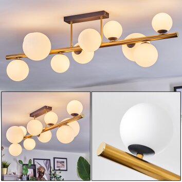 Chehalis Plafondlamp, Kogellampje Goud, Zwart, 10-lichts Chehalis Plafondlamp, Kogellampje Goud, Zwart, 10-lichts