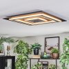 Lidor Plafondlamp LED Antraciet, Grijs, Zwart, 1-licht