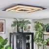 Lidor Plafondlamp LED Antraciet, Grijs, Zwart, 1-licht
