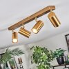 Javel Plafondlamp, Plafondspot Goud, 4-lichts